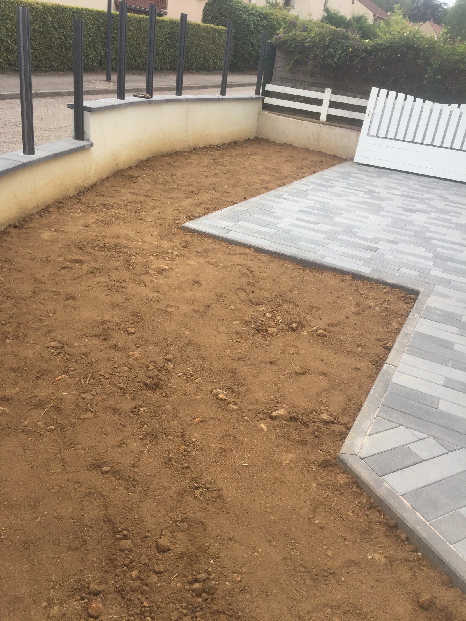 Elagage d'arbres a Metz