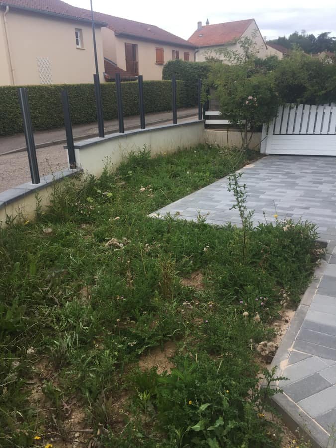 Bande de terrain envahie de mauvaises herbes avant l'intervention