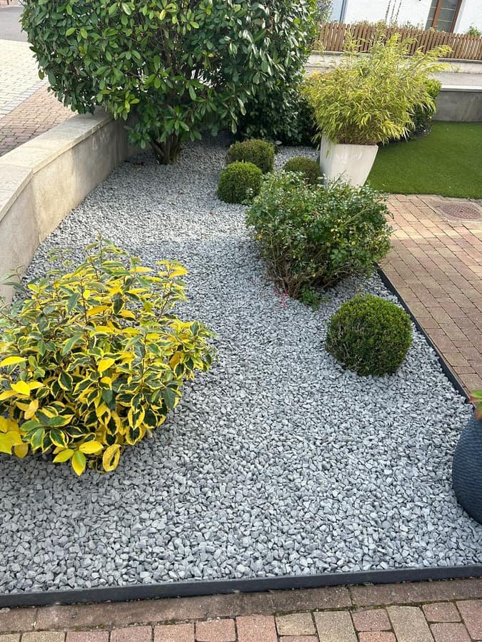 Massif decoratif en gravier gris avec arbustes persistants et buis tailles en boule