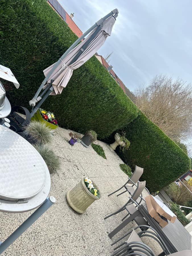 Haie de thuyas taillee de facon reguliere en bordure d'une terrasse