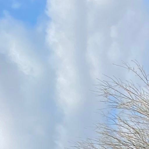 Taille d'arbre en Moselle