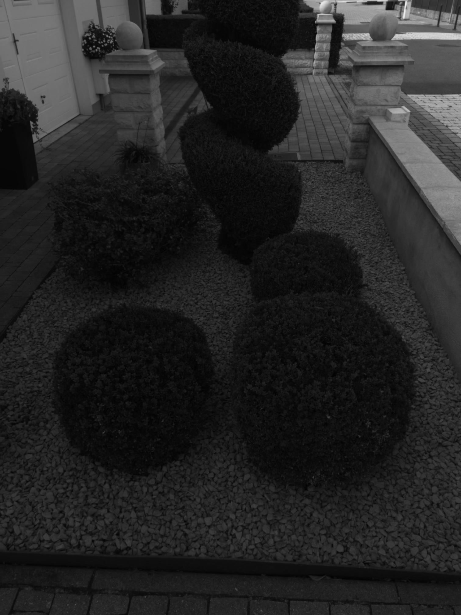 Aide personne jardinage